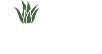 Daktari